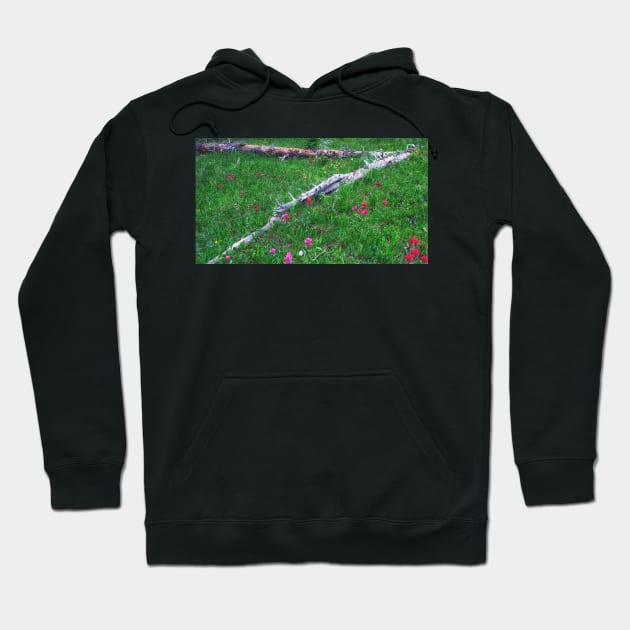 Mountain Meadow  Wildflowers Hoodie by briankphoto